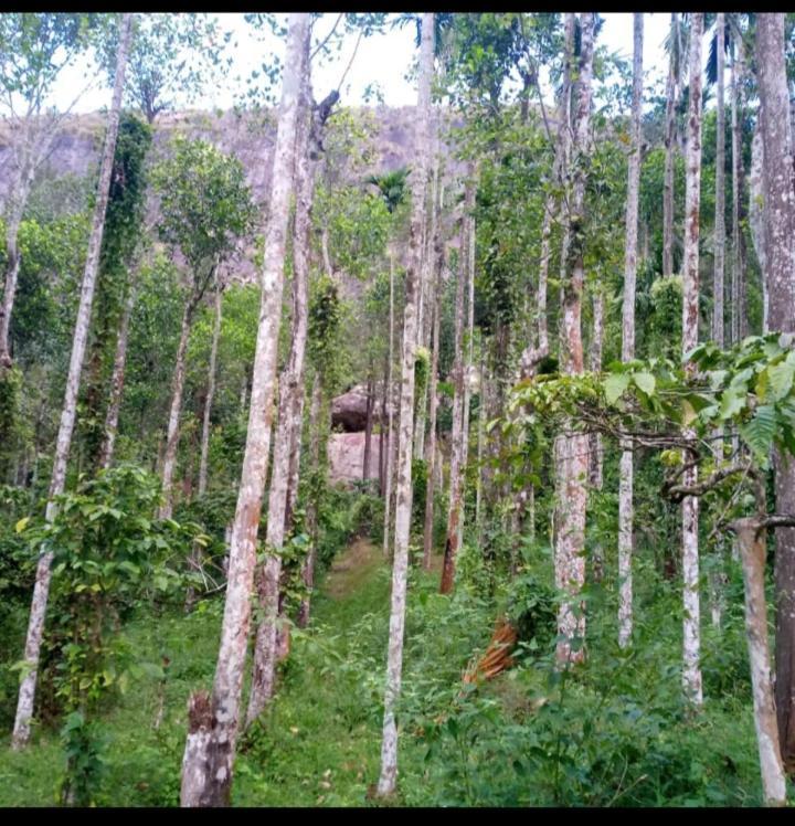 Wayanad Snow Vibes Villa Vythiri Exterior foto