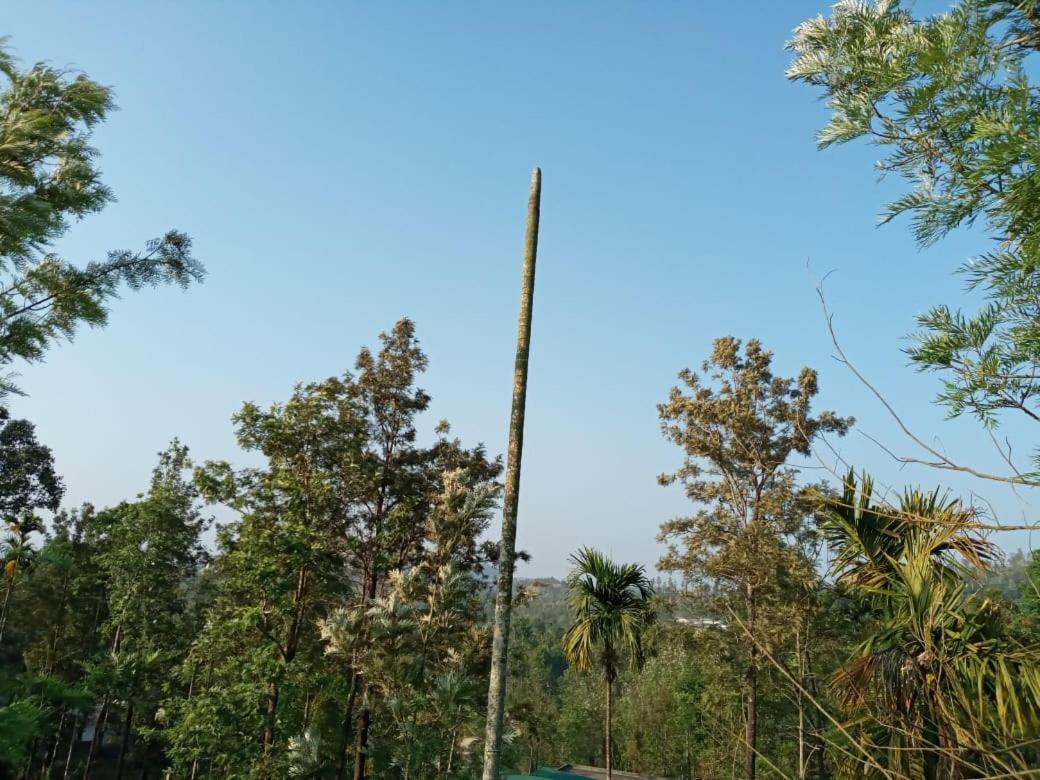 Wayanad Snow Vibes Villa Vythiri Exterior foto