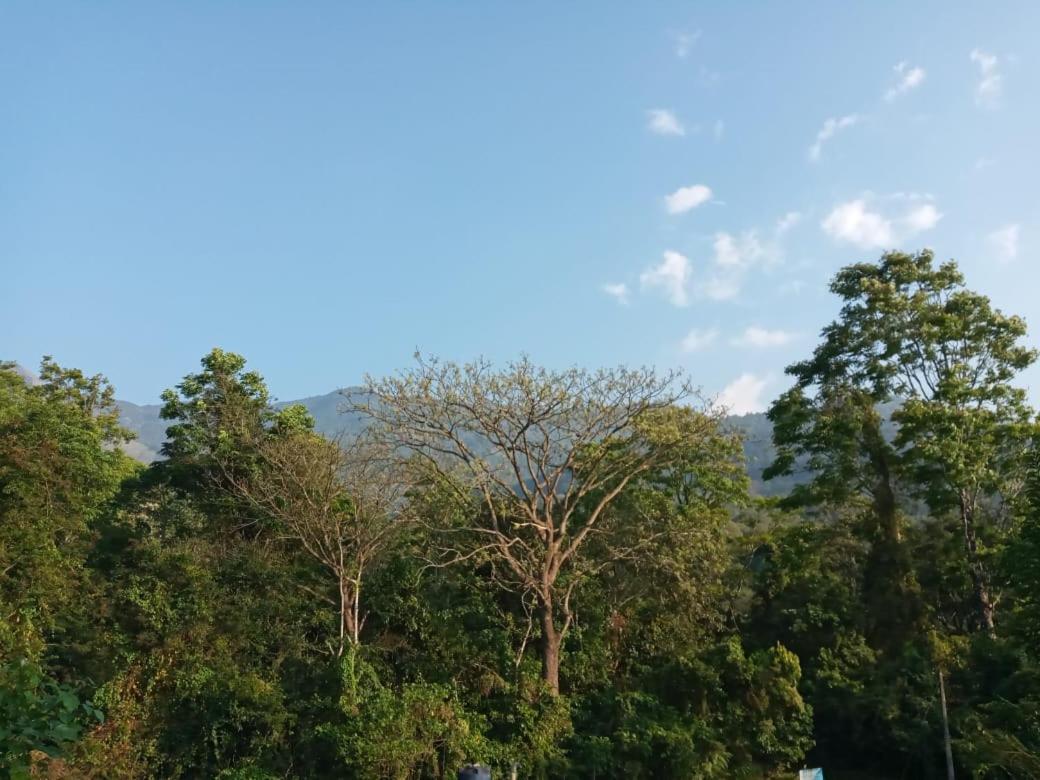 Wayanad Snow Vibes Villa Vythiri Exterior foto