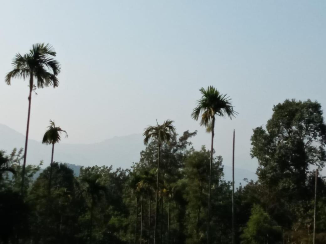 Wayanad Snow Vibes Villa Vythiri Exterior foto